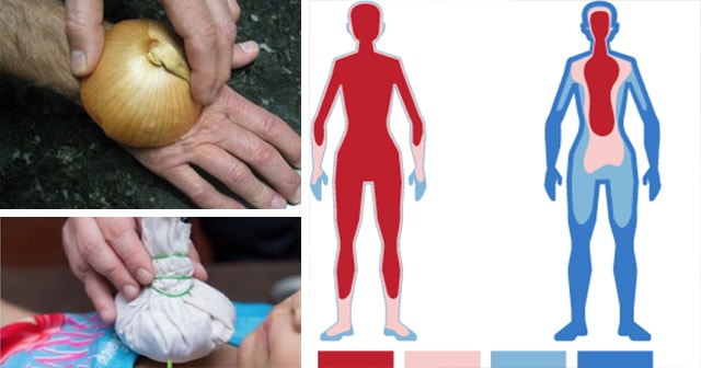 Did You Know That Onion Can Treat These 5 Health Issues? If Not ~ Learn Here.